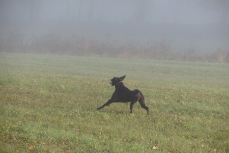 Gita z Čimelických strání 